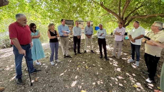 Acto aguila pescadora