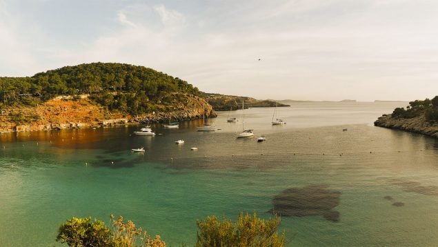 Playa virgen y aguas cristalinas