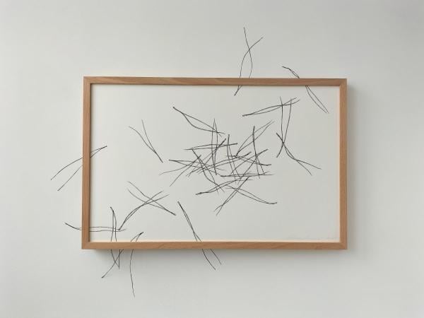 Cristina Almodóvar. “Acículas”, 2025. Tinta sobre papel enmarcado y alambre. 53 x 58,5 cm.