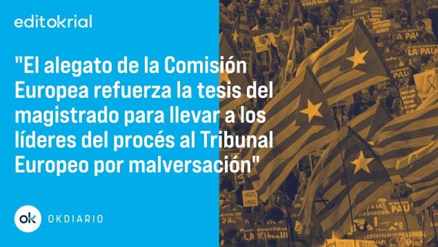 amnistía