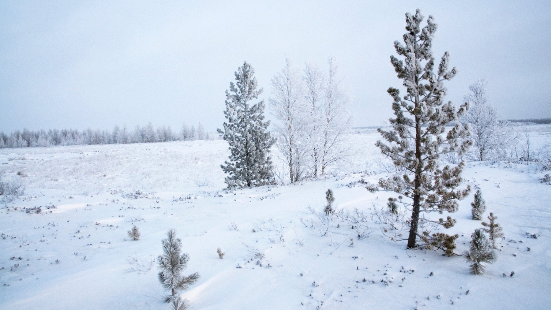 Siberia.