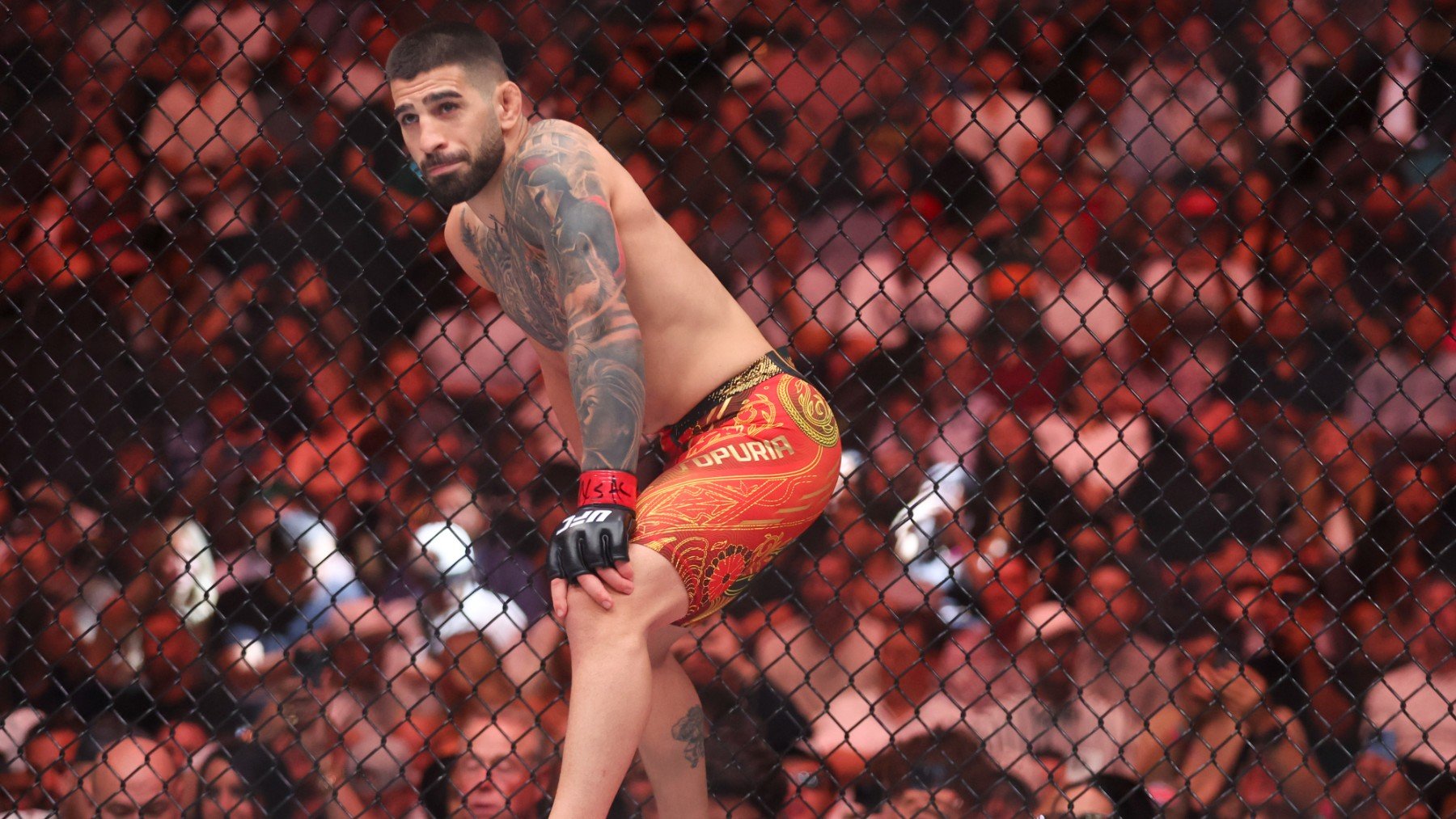 Topuria durante su pelea contra Charles Oliveira. (Getty)