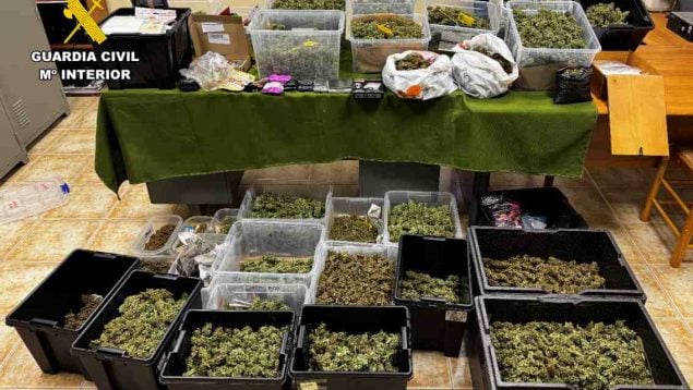 marihuana sencelles