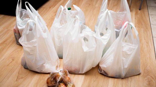 bolsa compra