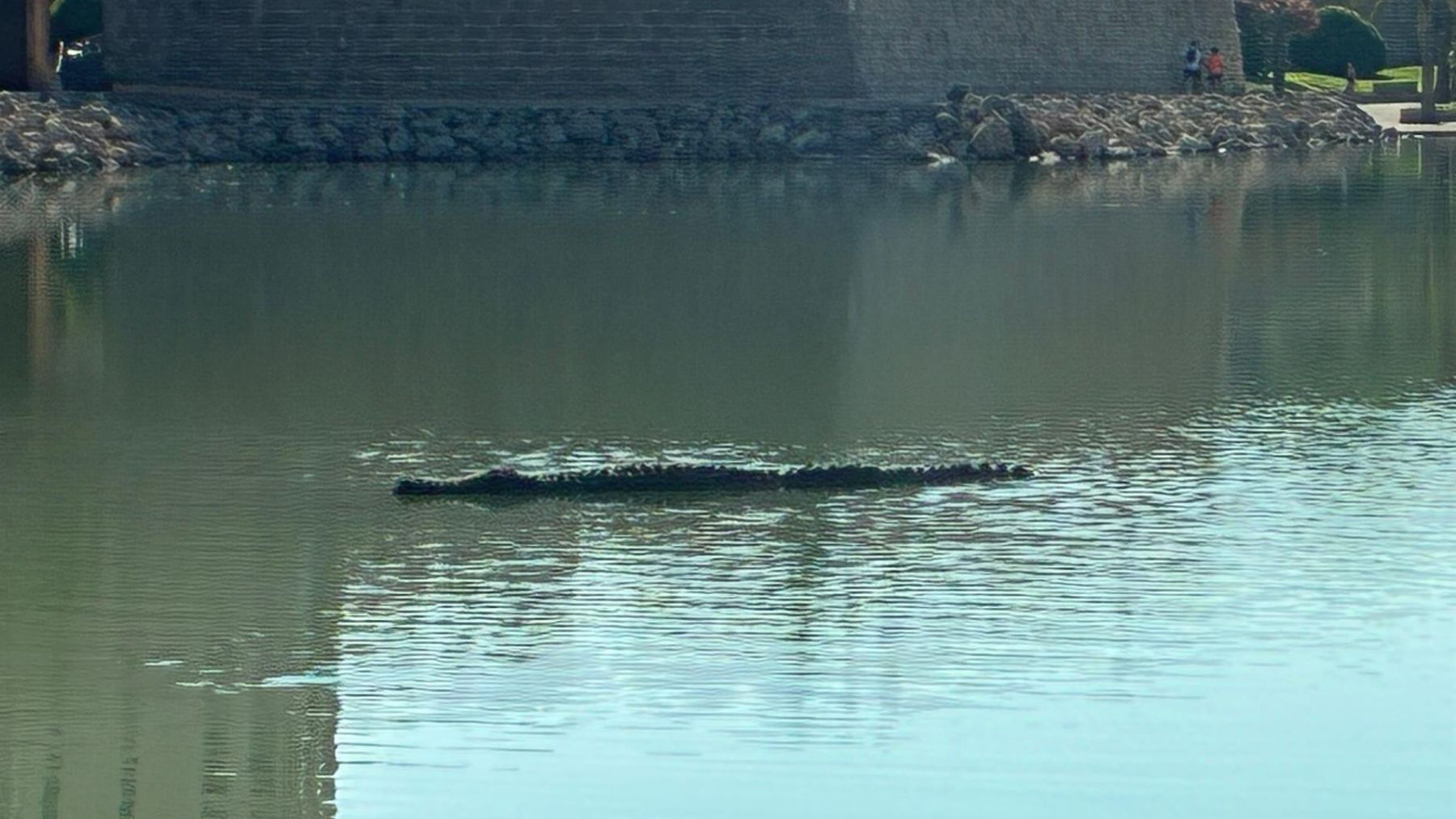 El cocodrilo del Parc de la Mar.
