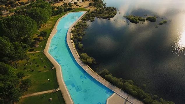 piscina natural rodeada de pinos