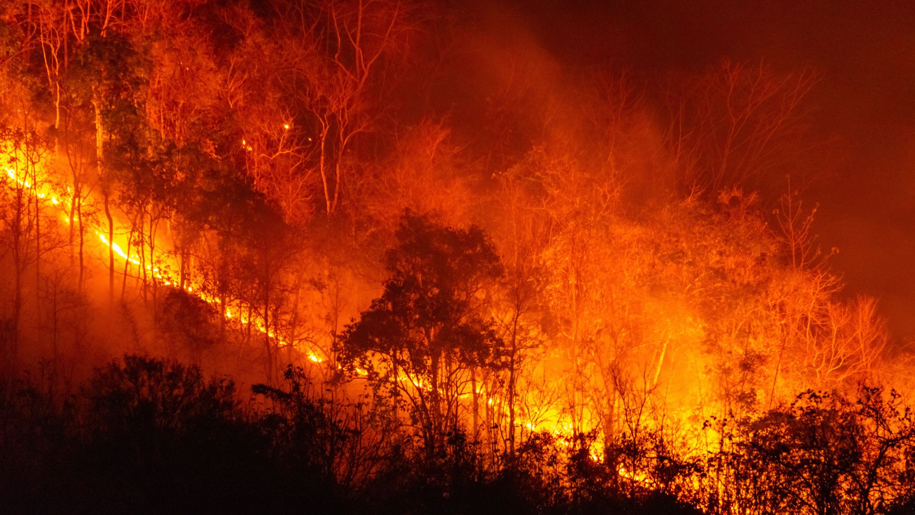 El factor humano suele estar detrás de un incendio de grandes dimensiones como el que afecta a las provincias de Madrid y Toledo.