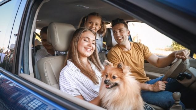 Perro en el coche
