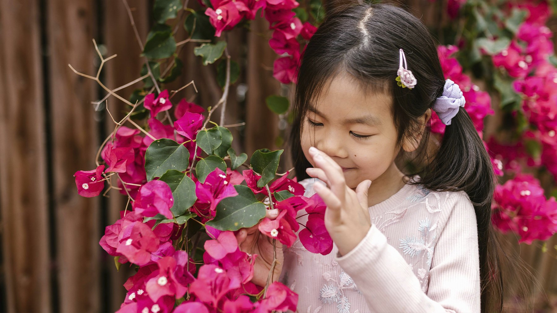 Niña oliendo flores de buganvilla. Foto: Pexels.