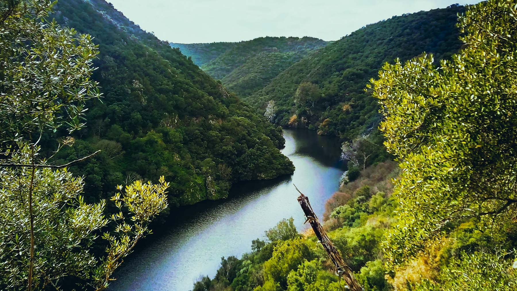 Sierra de Hornachuelos. Foto: Carolina Martín Blanco en Wikimedia Commons.
