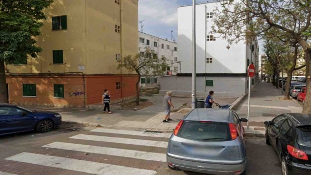 Palma robo