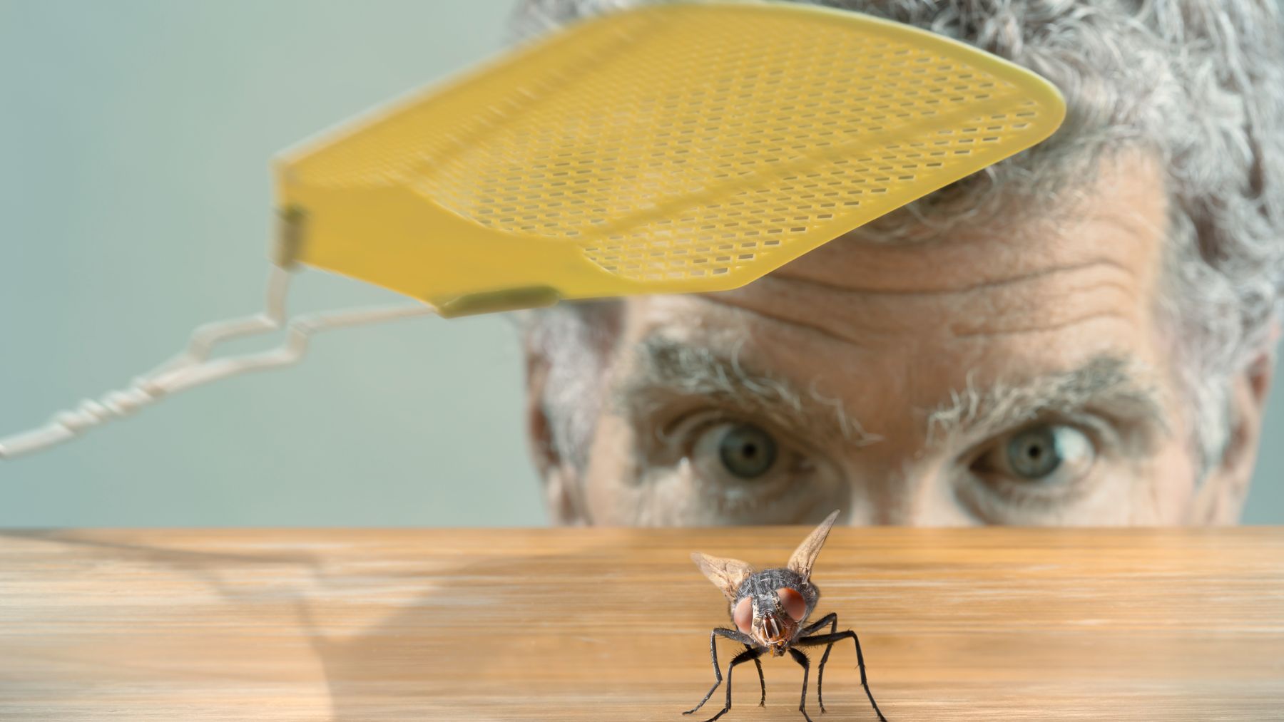 Los insectos nos dan muchos quebraderos de cabeza en verano, lo cual provoca que nos olvidemos de lo útiles que son.