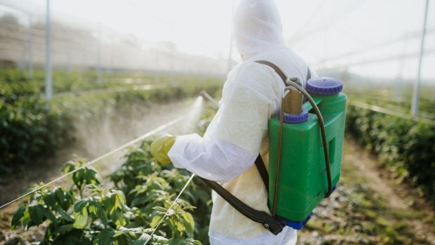 Insecticidas