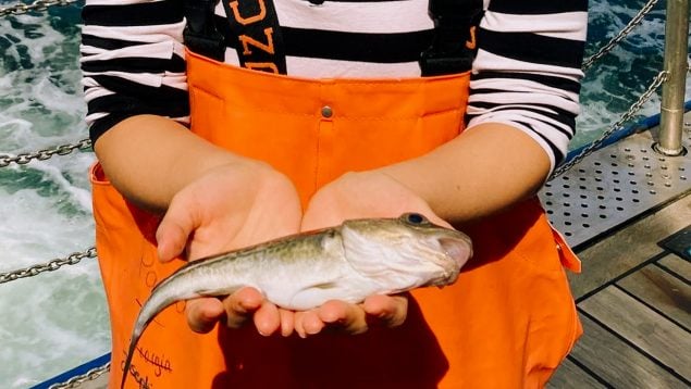 Pesca intensiva