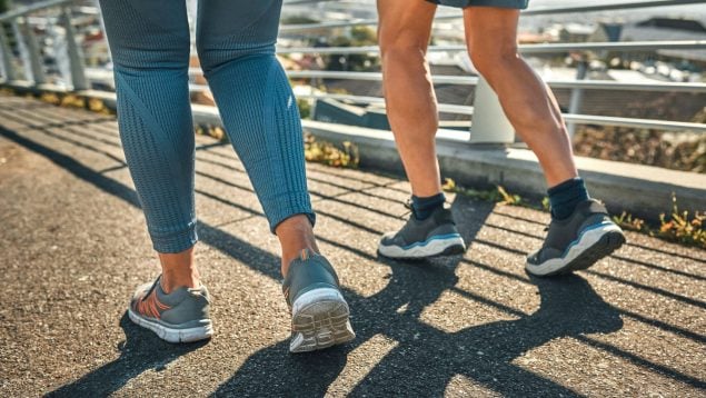 zapatillas, skechers