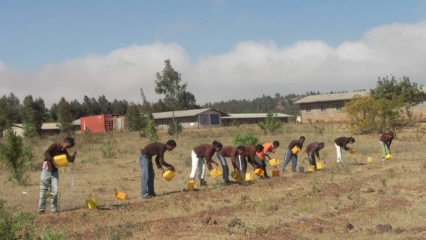 Estudiantes en trabajos de reforestación.(Foto: Agencia Panafricana de la Gran Muralla Verde).