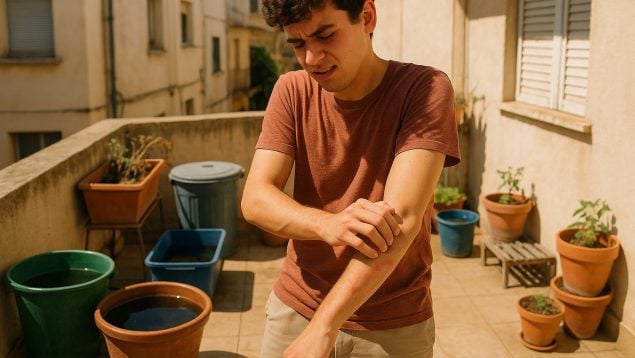 brote de un virus en España