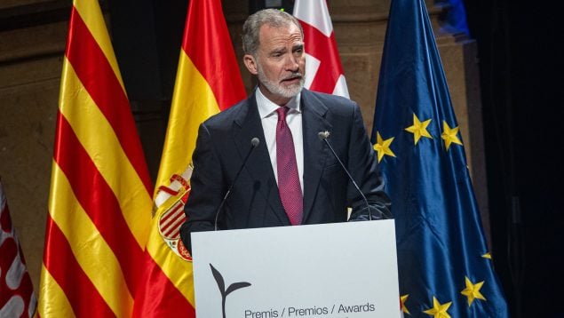 El Rey Felipe VI en los Premios Princesa de Gerona. (Foto: EP)