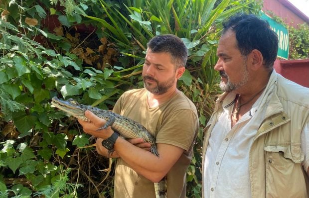Álex Lacchein con el caimán encontrado en Almansa