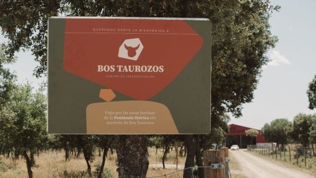 Centro interpretación de vacas