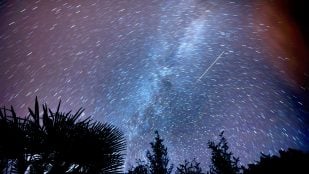Las Perseidas