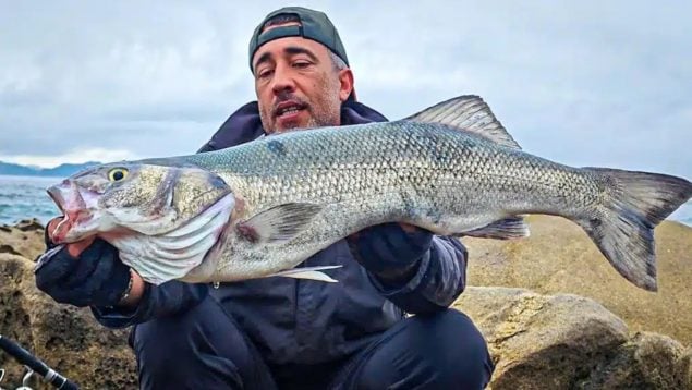 Pescador gallego captura una lubina gigante y se la comen entre seis, dónde pescar lubinas gigantes, pesca gigante en España, pescador captura un pez enorme.