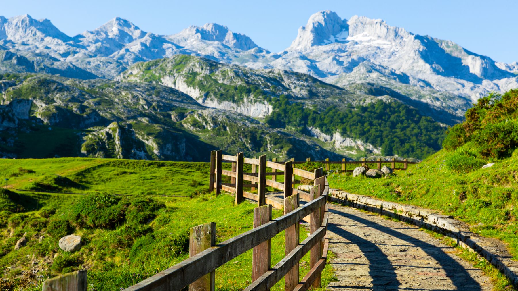 En los Picos de Europa hay refugios naturales que podrían proteger a las especies del cambio climático.