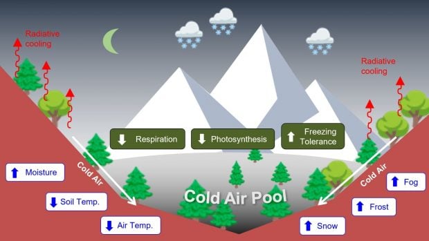 Explicación gráfica de cómo se genera una piscina de aire frío (FOTO: proyecto REBECA).