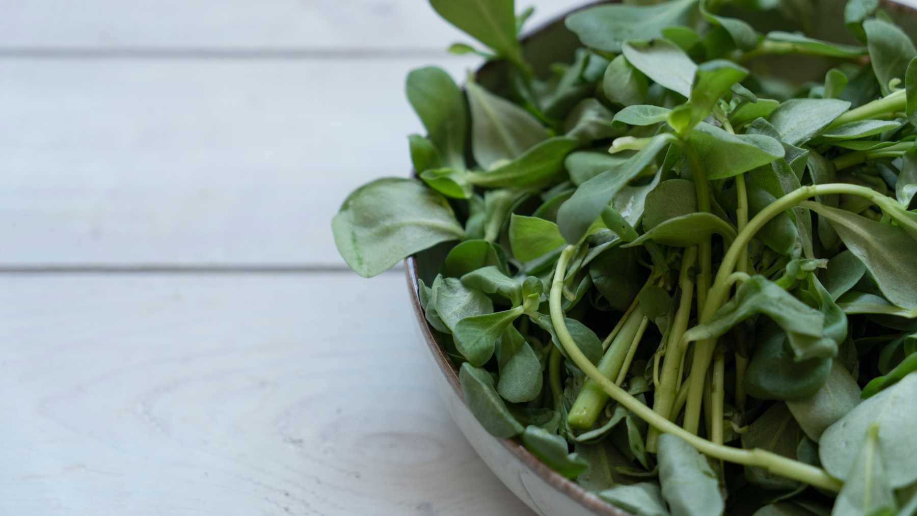 Recetas con verdolaga: ideas fáciles, sabrosas y llenas de nutrientes