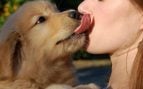 El perro te chupa