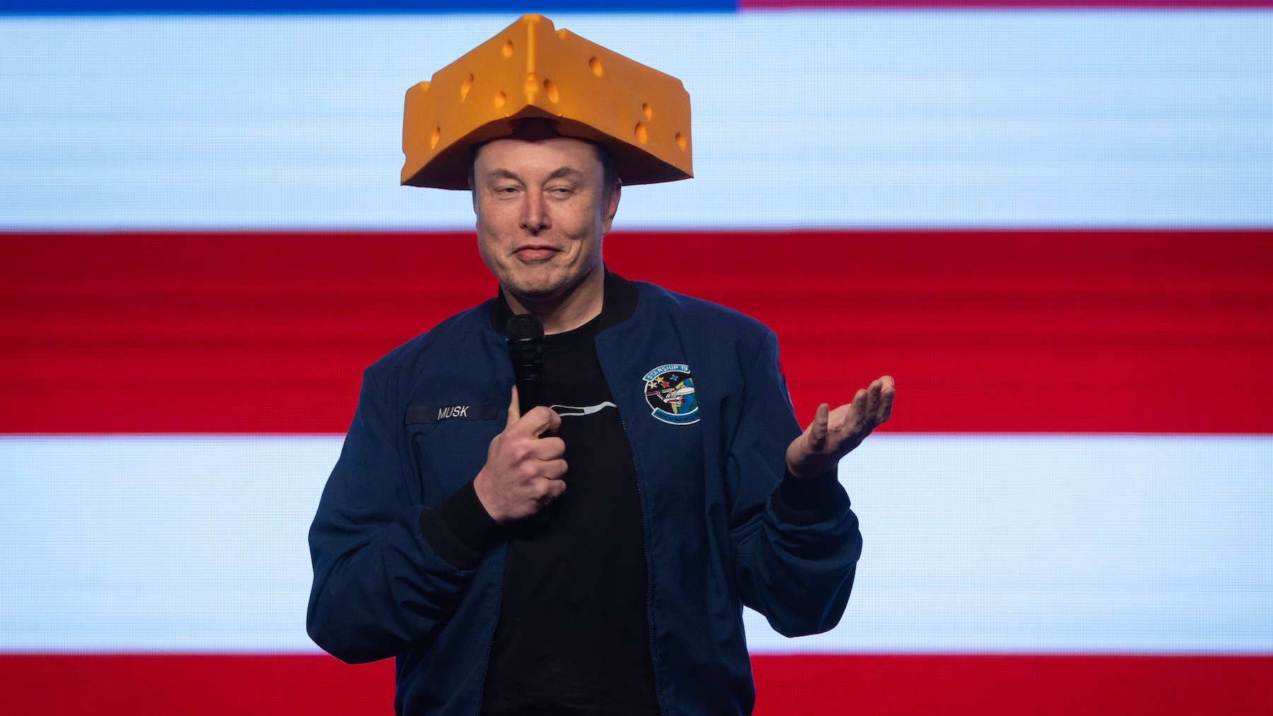 Vine vuelve de la mano de Elon Musk, pero no como la recuerdas