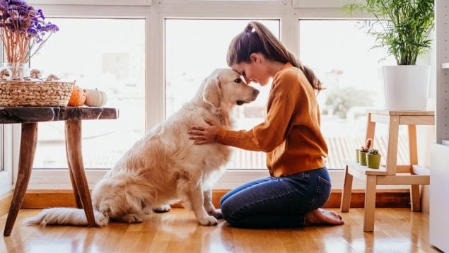 La persona favorita de tu perro