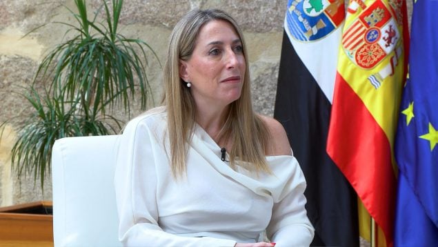 Ver vídeo