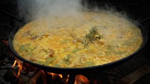 Expresión valenciana que no entienden en España, expresiones que sólo usan los valencianos, qué significa bajoqueta en valenciano, cómo se dice bajoqueta en castellano, expresiones valenciana, expresión valenciana para insultar, insultos únicos del valenciano.