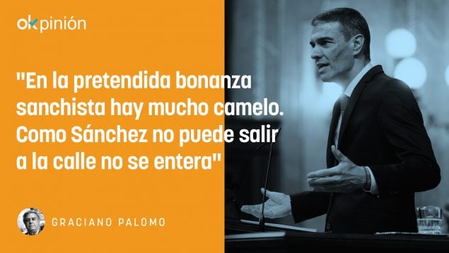 timo gubernamental