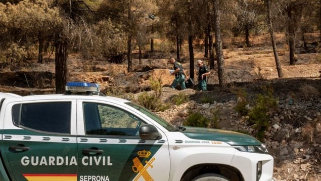 investigado incendio forestal Ibi