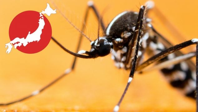 Truco japonés que acaba con los mosquitos