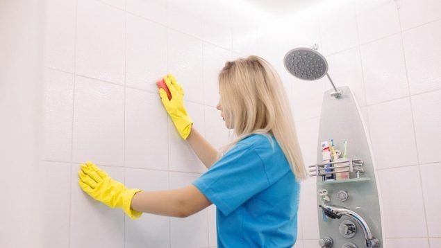 Juntas de los azulejos, limpieza, producto, hogar