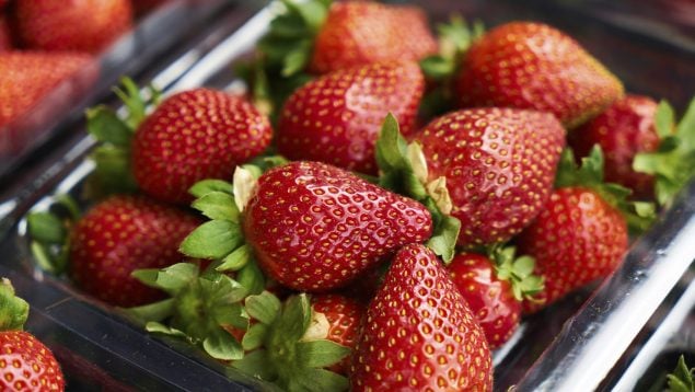 Lavar las fresas
