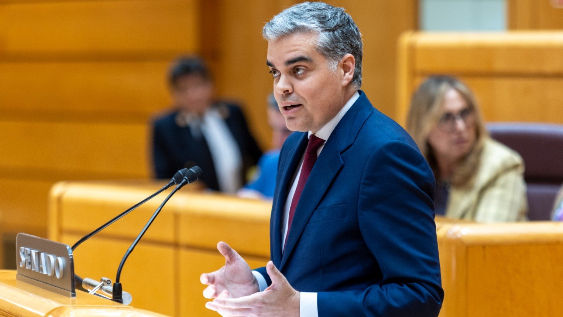 Vicente Azpitarte, en una intervención en el Senado.
