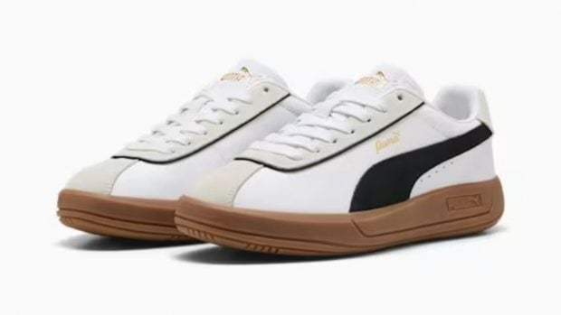 Puma