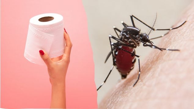 Truco papel higiénico mosquitos