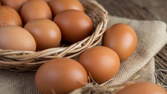 huevos camperos