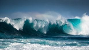Tsunami olas