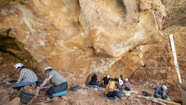 Atapuerca, descubrimiento, historia