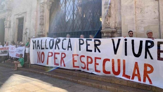 Palma concentración