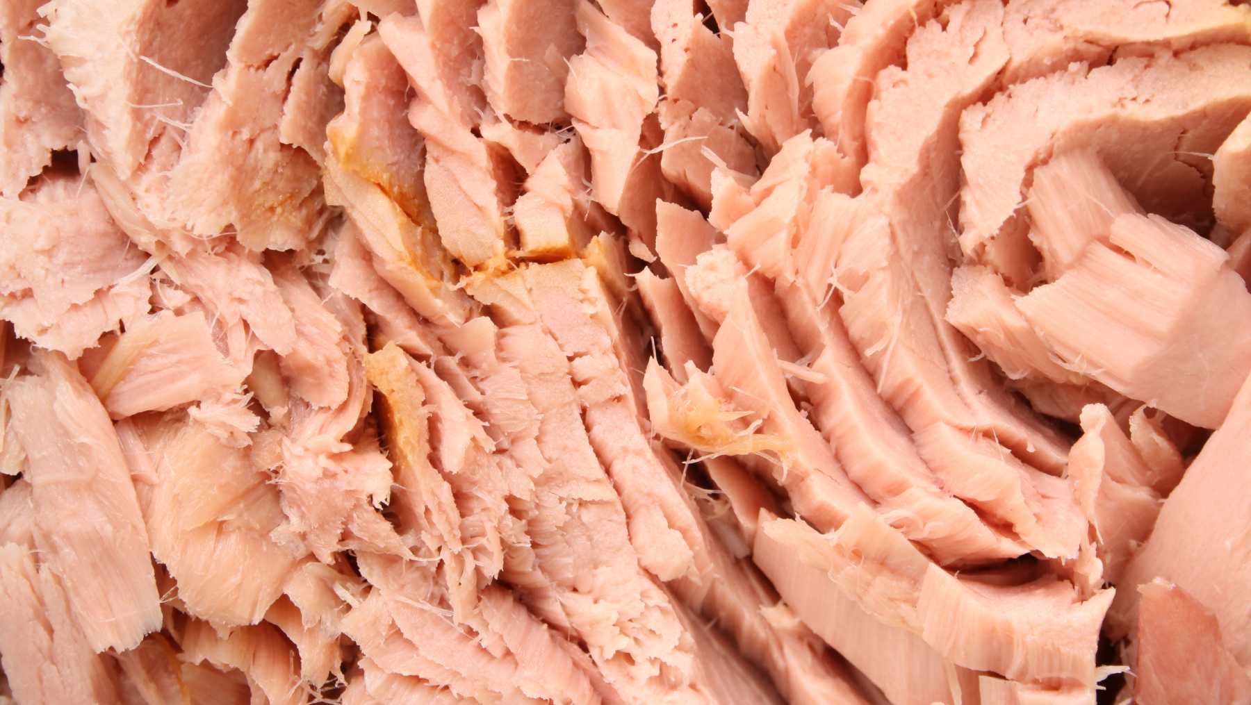 Recetas con atún en conserva.