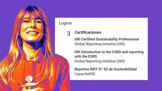 Begoña Gómez curriculum