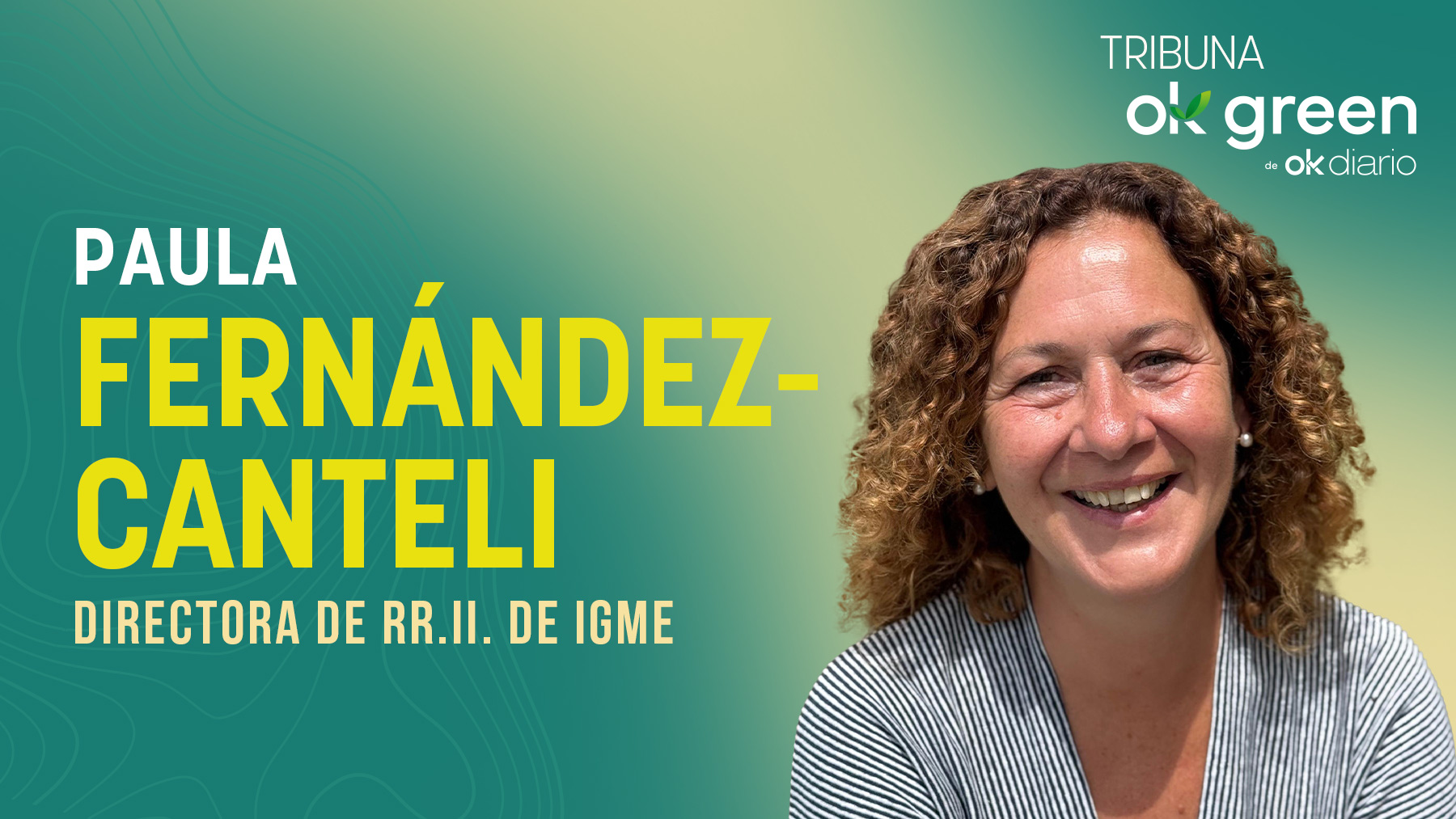 Paula Fernández-Canteli es directora de Relaciones Internacionales en el Instituto Geológico y Minero de España.