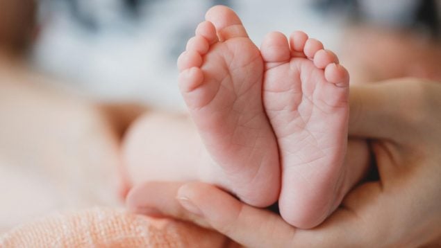 Bebés, curiosidades, madres